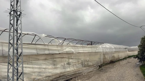 Muğla’da Seydikemer Kumluova’da hortum ve fırtına nedeniyle seralarda hasar meydana geldi