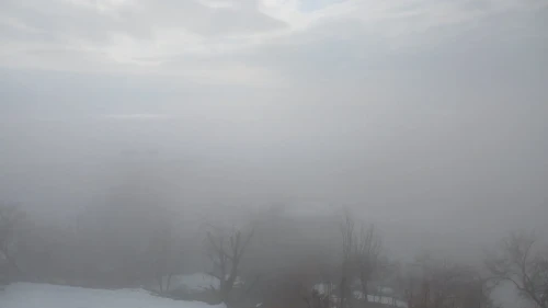 Diyarbakır'ın Kulp ilçesinde yoğun sis hayatı olumsuz etkiledi