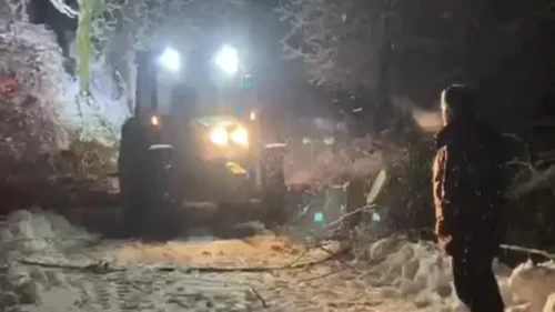 Sinop'ta yoğun kar yağışı nedeniyle devrilen ağaç ulaşımı kısa süreli aksattı