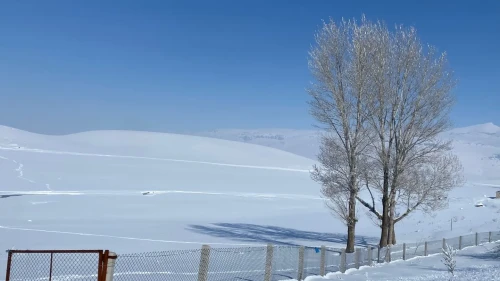 Patnos'ta kar yağışıyla beyaza bürünen köy kartpostallık manzaralar sundu