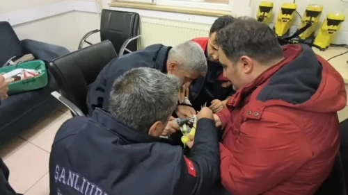 Şanlıurfa'da papağanın ayağına sıkışan halhal itfaiye ekiplerince çıkarıldı