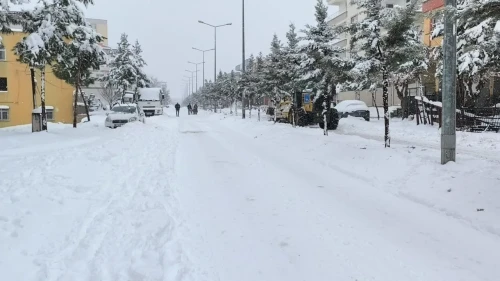 dicle'de yoğun kar yağışı hayatı olumsuz etkiledi