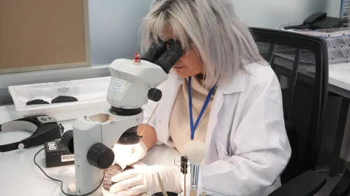 Türkiye dünya genelinde sayılı konservasyon merkezlerinden birine sahip