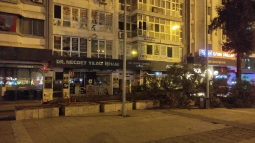 Samsun'da fırtına nedeniyle Cumhuriyet Meydanı'ndaki çam ağacı devrildi