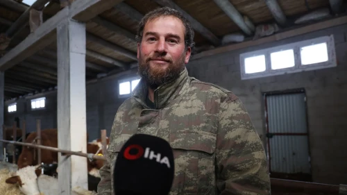 Adana'nın Feke ilçesinde kurt saldırıları nedeniyle hayvancılık yapılamaz hale geldi