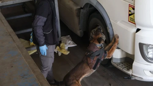 Kapıkule’de sınır kapısında 144 kilo esrar ele geçirildi