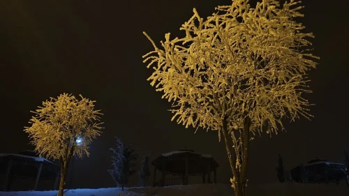 Elazığ'da sis ve don etkisiyle ağaçlar kırağı tuttu