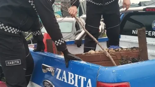 Nilüfer'de yaya geçişini engelleyen duba ve tabelalar toplandı