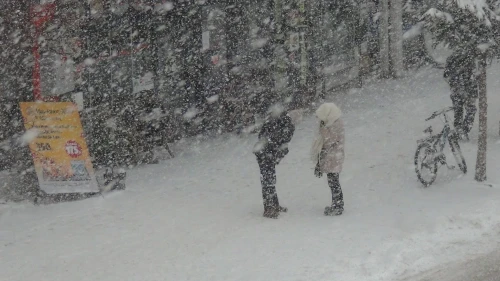 Kars'ta son 15 yılın en yoğun kışı hayatı olumsuz etkiliyor
