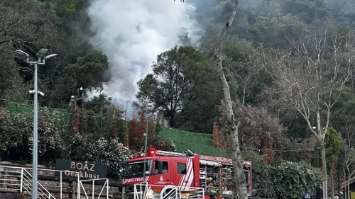 Beşiktaş Kuruçeşme'de restoran müştemilatında çıkan yangın ormanlık alana sıçramadan söndürüldü
