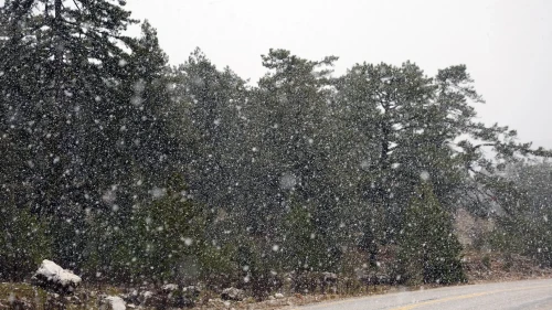 Muğla'nın yüksek kesimlerinde kar yağışı etkili olmaya başladı