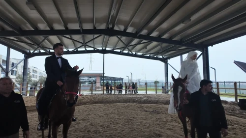 İstanbul Esenyurt'ta at üstünde nikah kıyan çift unutulmaz bir gün yaşadı