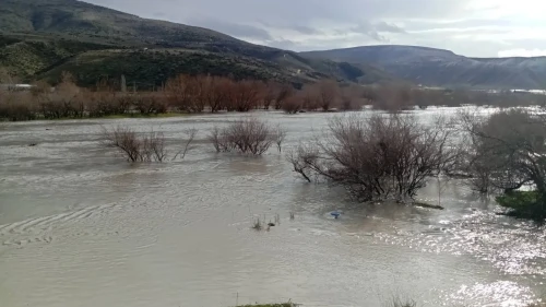 Ankara'nın Beypazarı ilçesinde sağanak sonrası ekili araziler sular altında kaldı