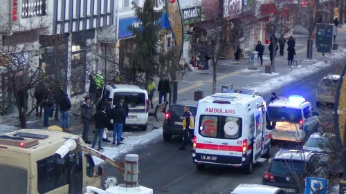 Kars'ta kontrolden çıkan araç ağaca çarparak durabildi