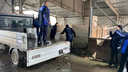 Diyarbakır'da 5 işletmede ele geçirilen 460 kilogram peynir imha edildi