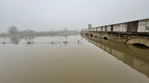 Edirne'de Meriç ve Tunca nehirlerinin taşkın suları tarım arazilerini ve yerleşim alanlarını etkilemeye