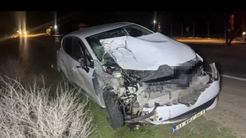 Ceylanpınar’da otomobil at arabasına çarptı: 2 yaralı