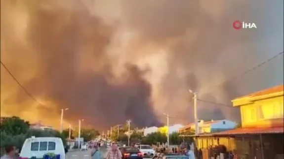 Enez Büyükevren'de orman yangını yayılıyor