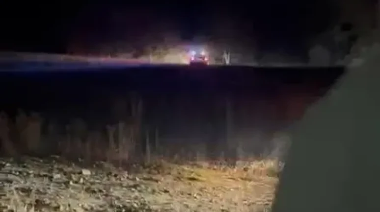 Yenişehir'de mantar toplarken kaybolan İsmail Kaya için arama çalışmaları sürüyor