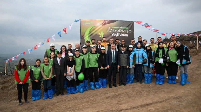 Kocaeli'nin Karamürsel ilçesinde yanan ormanlık alana 3 bin fidan dikildi