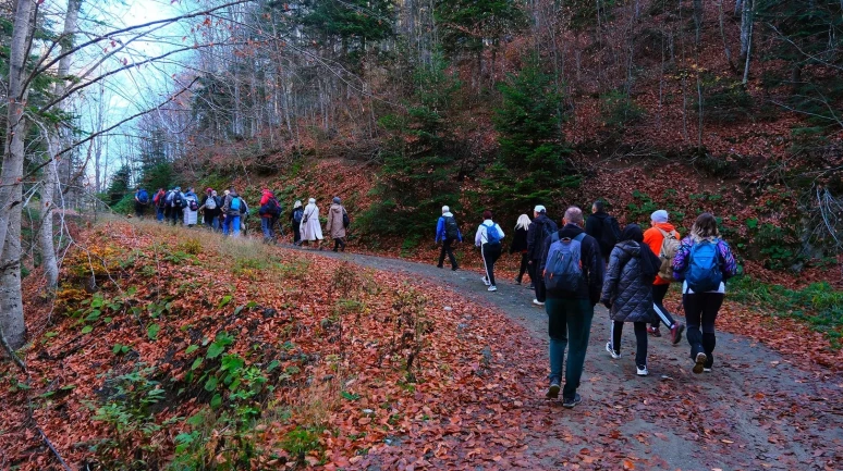 Sakarya'da sonbaharın renkleri arasında 14 kilometrelik doğa yürüyüşü yapıldı