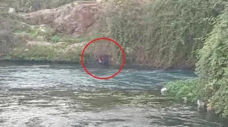 Antalya'da Düden Çayı'na Düşen Kişi Itfaiye Ve Afad Tarafından Kurtarıldı