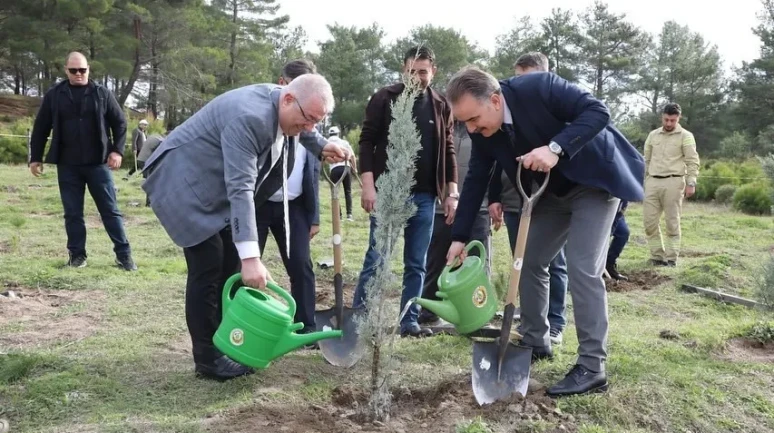 Edremit'te ertelenen fidan dikim etkinliği bugün gerçekleştirildi