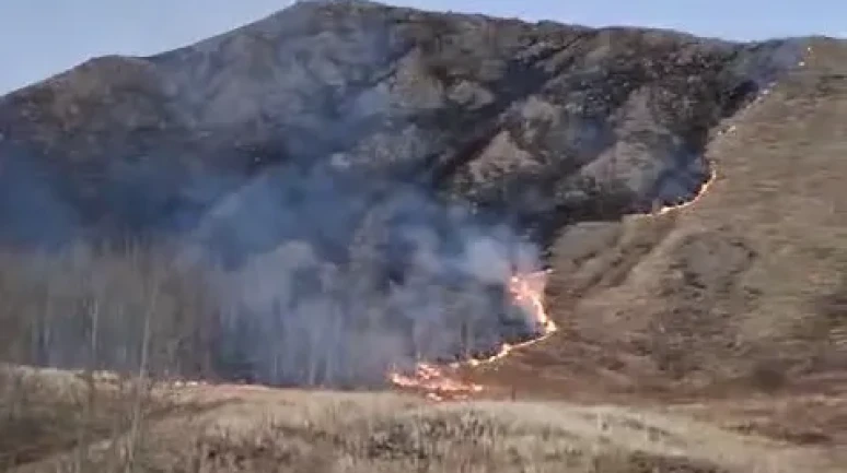 Oltu’da Süleymanlı Mahallesi’nde çıkan örtü yangını kontrol altına alındı
