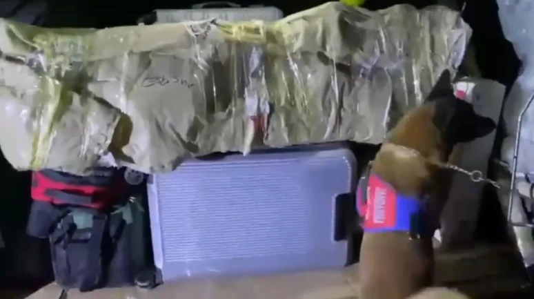 Osmaniye'de yolcu otobüsünde bal kabağına gizlenmiş 706 gram skunk ele geçirildi