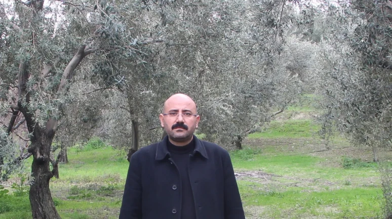 Mut'ta bu yıl 120 bin ton zeytin ve 10 bin ton zeytinyağı rekoltesi