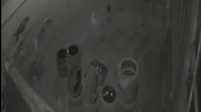 Muş'ta köpeklerin saldırdığı tavuk lastikçi dükkanına sığındı