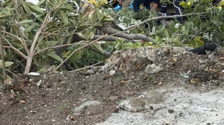 Denizli'de kamyonet evin bahçesine düştü, 1 ölü ve 3 yaralı