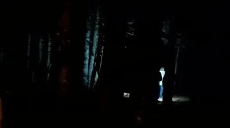 Bursa'da Uludağ'da kaybolan 4 çocuk 5 saatlik arama sonrası bulunarak ailelerine teslim edildi