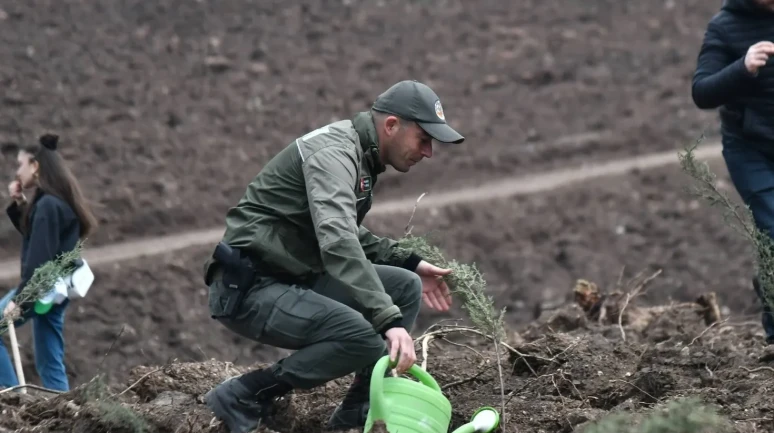 Manisa'da 2025 sonuna kadar 3,1 milyon fidan toprakla buluşacak