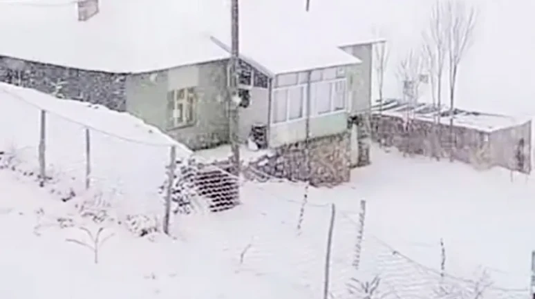 Van’ın Başkale ilçesinde kar yağışı yüksek kesimleri beyaza bürüdü