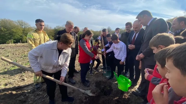 Sinop'ta 11 Kasım Milli Ağaçlandırma Günü kapsamında 3 bin 860 fidan dikildi