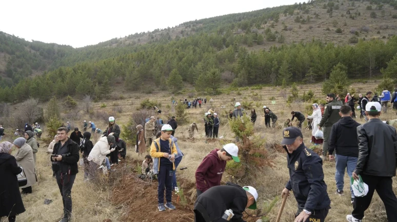 Gümüşhane'de milli ağaçlandırma günü kapsamında sarıçam fidanları dikildi