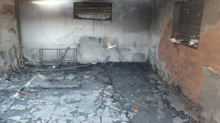 İzmir'in Menemen ilçesinde çıkan yangında bir kişi ve 20'den fazla kedi hayatını kaybetti