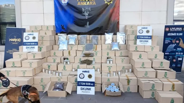 Ankara'da Tayland'dan getirilen 1,5 ton skunk ele geçirildi
