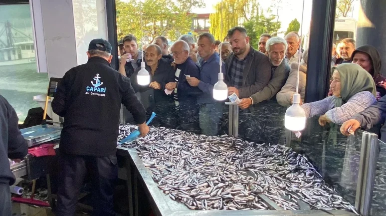 Hopa'da kilosu 20 liradan satılan 3 ton hamsi 2 saatte tükendi