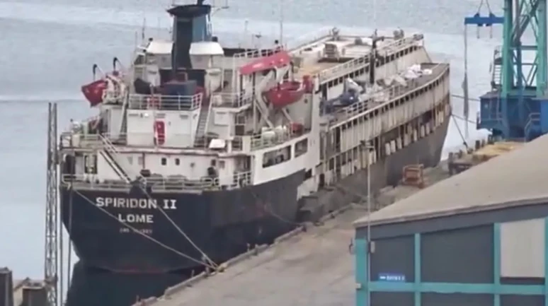 Bandırma Limanı'nda susuzluktan boru yalayan inekler ve ölümler endişeye neden oldu