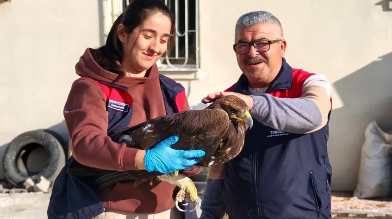 Tunceli'de yaralı halde bulunan kartal tedavi altına alındı
