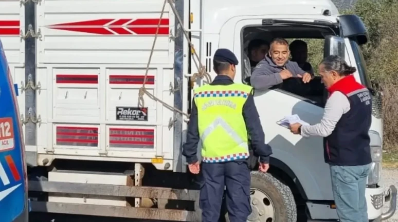 Aydın'da hayvan sevkiyatı denetimlerine jandarma ve tarım ekipleri katıldı