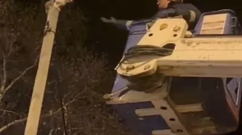 Ardahan'da direğin tepesinde mahsur kalan kedi Aras EDAŞ ekiplerince kurtarıldı