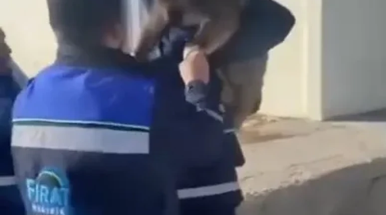 Tunceli'de bahçe çitine sıkışan yaban keçisini FEDAŞ ekipleri kurtardı