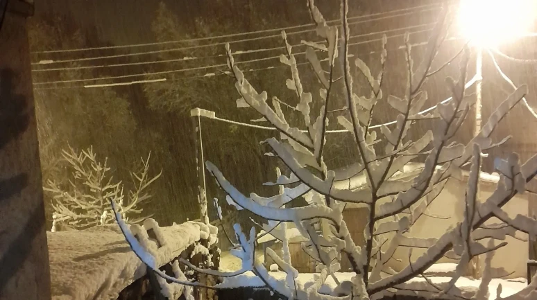 Ahlat’ta yüksek kesimlerdeki köyler kar yağışıyla beyaza büründü