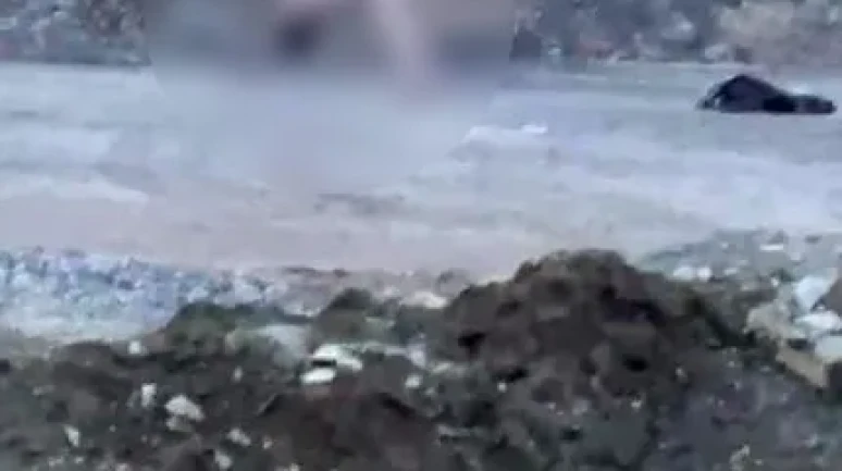 Kocaeli’de köprü altında çıplak şahsın garip hareketleri tedirgin etti