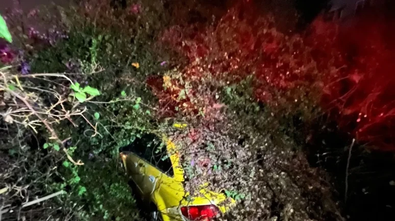 Mersin'de otomobilin üzerine devrilen ağaç sürücüyü yaralamadan kurtardı