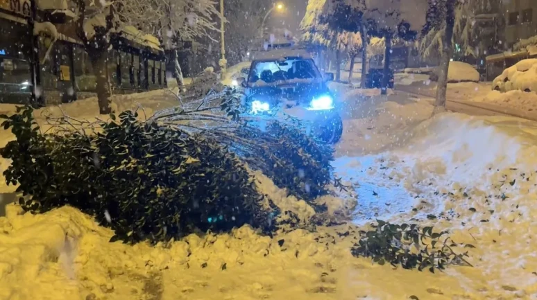 Karabük’te kar ağırlığı nedeniyle birçok ağacın dalları kırıldı
