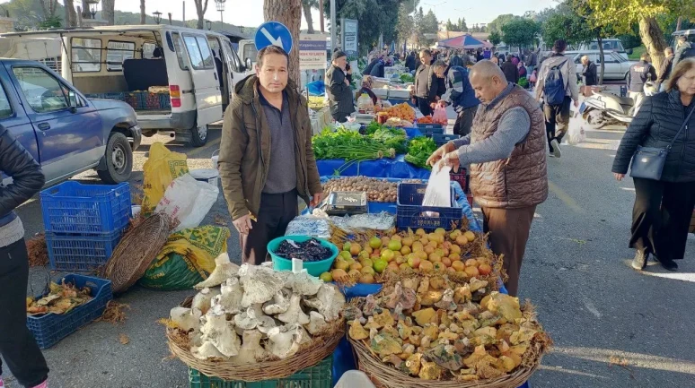 Aydın’da pazarda dev mantarlar ilgi odağı oldu
